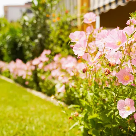 Vila Aliaj Beautiful For 2 With Air Conditioning *